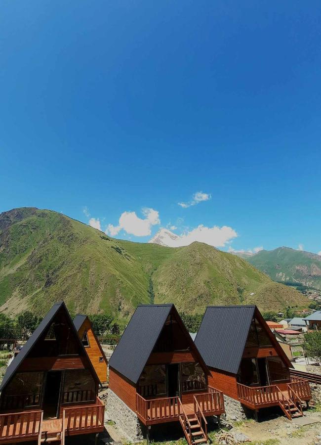 Trip Zone Kazbegi Apartman Kültér fotó