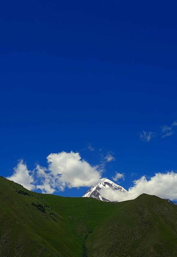 Trip Zone Kazbegi Apartman Kültér fotó