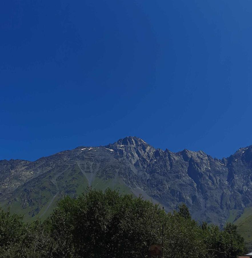 Trip Zone Kazbegi Apartman Kültér fotó