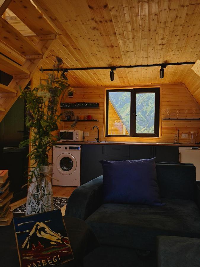 Trip Zone Kazbegi Apartman Kültér fotó