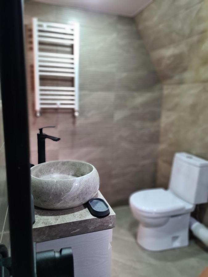 Trip Zone Kazbegi Apartman Kültér fotó